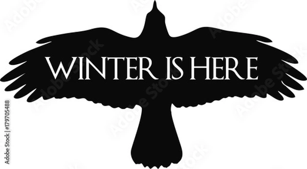 Fototapeta Black Raven