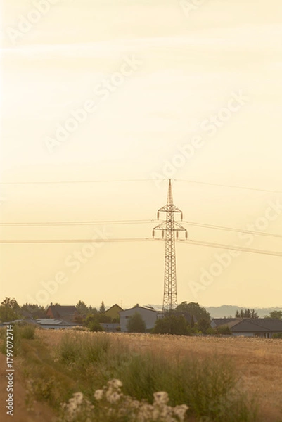 Fototapeta A serene landscape featuring a sunset glow over fields, accented by power lines in the distance, capturing the tranquility of nature.