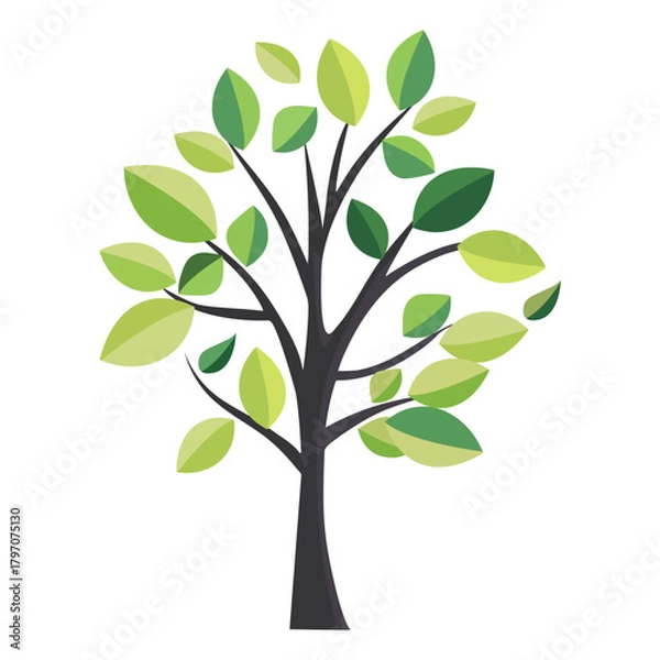 Obraz Green tree icon on white background vector illustration graphic design