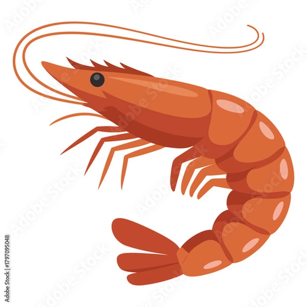 Obraz shrimp on white background