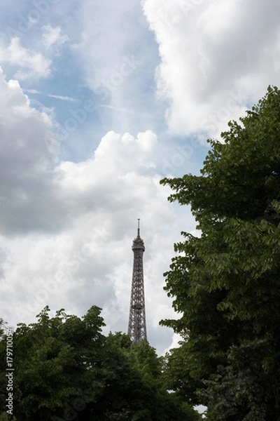 Obraz Eiffel tower in Paris