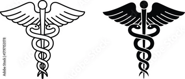 Obraz Two caduceus symbols, one in outline and one in silhouette, appear on a white background
