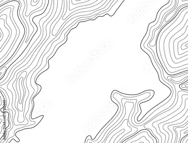 Obraz Abstract topographic background in PNG. Wavy contour lines, minimalism, and geometry. Damask steel pattern. Topographic background with empty space for text.