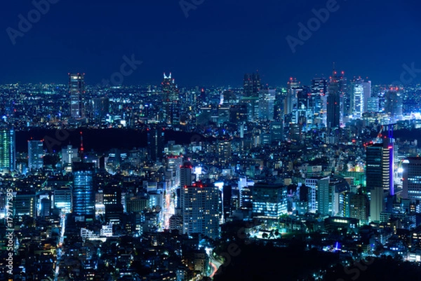 Obraz 東京の夜景