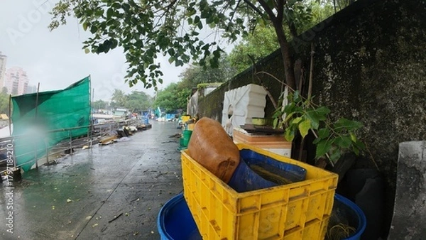 Fototapeta A Close-Up View of Wet, Old Yellow Plastic Crates and Blue Baskets During a Cloudy, Overcast Rainy Day in a Tropical City