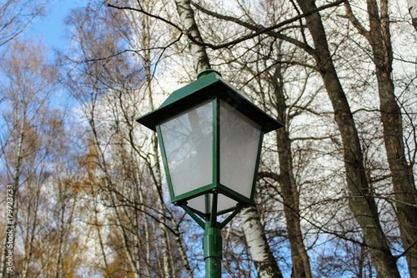 Obraz Birch Alley with beautiful street lamps in the estate of Leo Tolstoy in Yasnaya Polyana.