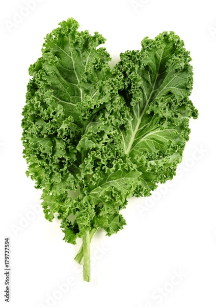 Obraz liście jarmużu na białym tle