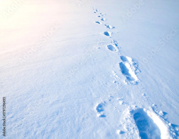 Obraz 雪　足跡　イメージ