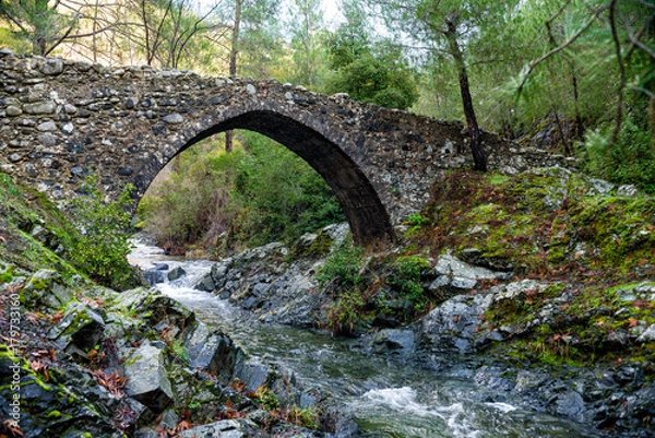 Fototapeta Old stone bridge over the stream