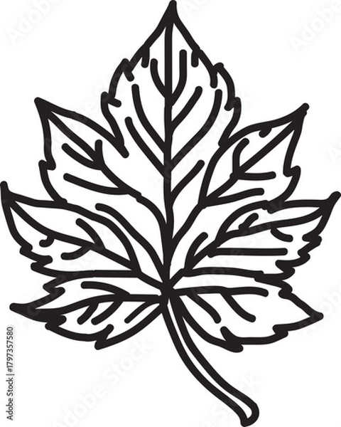 Fototapeta Stylized Leaf Outline – Black and White Vector Illustration