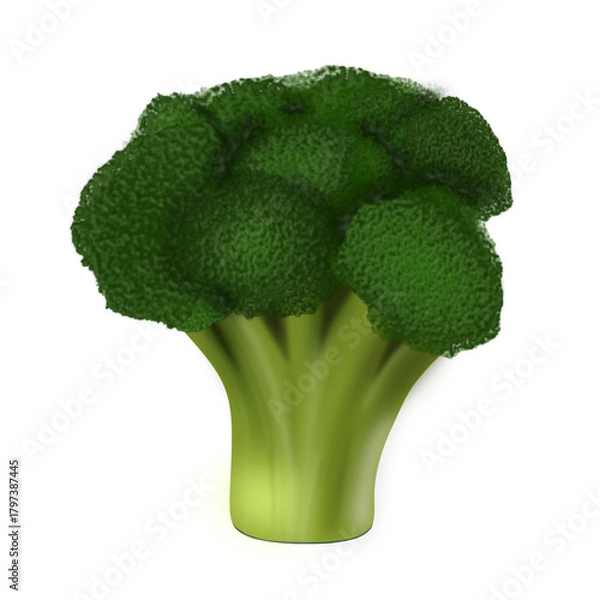 Fototapeta A bright green head of broccoli with dense florets and a juicy, thick stem. A symbol of natural benefits and healthy eating.
