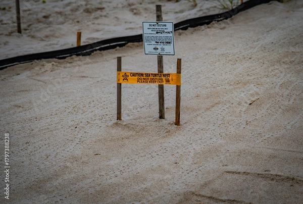 Obraz Sunrise on Topsail Beach