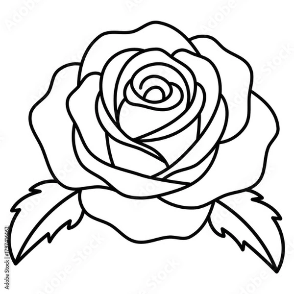 Obraz Blooming rose line art illustration. Detailed floral sketch for tatto idea, greeting card, logo, frame, print, botanical design.