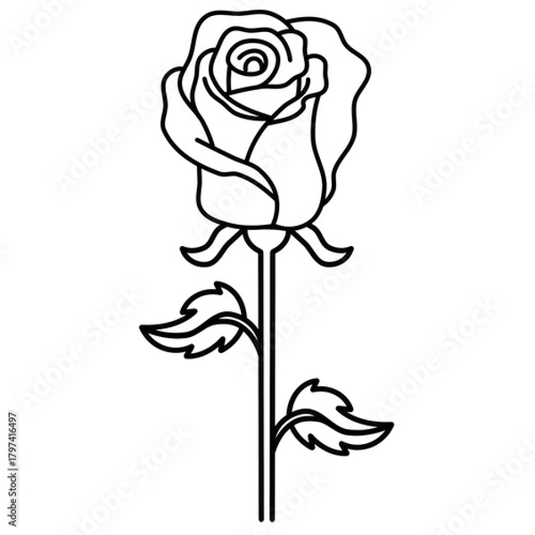 Obraz Single stem rose line art. Elegant floral sketch for logo, tatto, print, frame, minimalist botanical graphic.