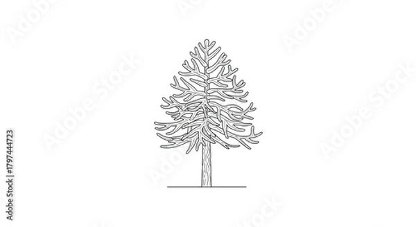 Obraz Stylized conifer tree pine spruce cedar line drawing vector illustration