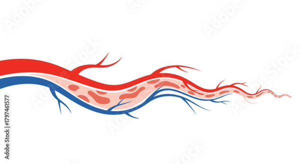 Fototapeta Abstract illustration depicting human veins and arteries, showcasing the intricate network of blood vessels and circulating red blood cells.