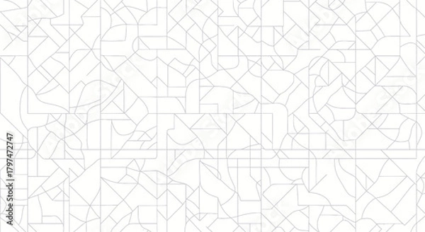 Fototapeta Intricate Abstract Geometric Network of Intersecting Lines and Grids.