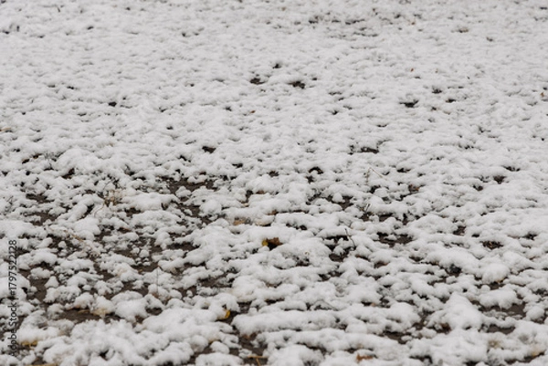 Fototapeta A field lightly covered with fresh snow, showing subtle texture and uneven distribution. Quiet winter day