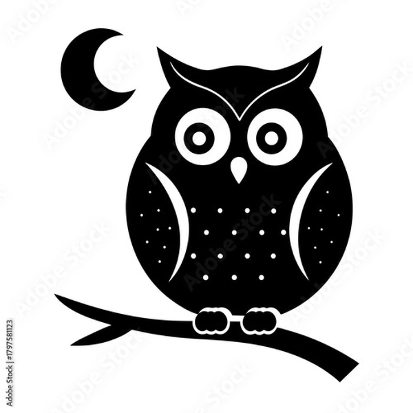 Obraz owl on white background
