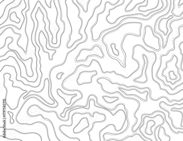 Obraz An abstract contour topographic pattern with smooth relief lines. Minimalistic background design for projects. Illustration with wavy lines on a transparent background.