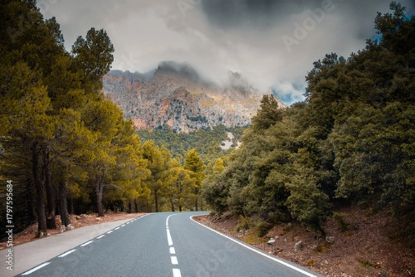 Obraz Drogami Majorki 