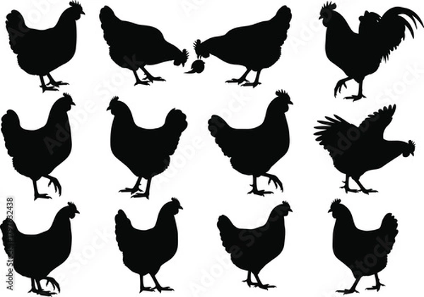 Obraz Black chicken silhouette collection of hens and roosters in various poses, farm bird vector illustration set for design and decoration