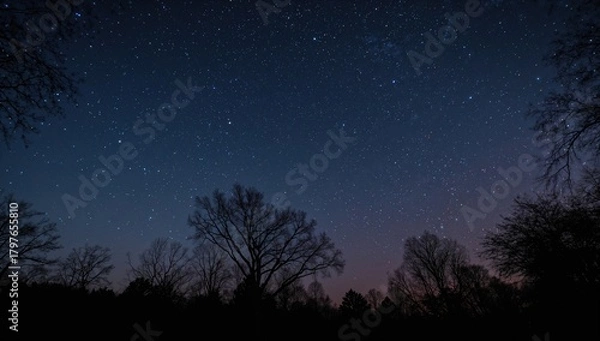 Fototapeta Vertical image of a forest under a stunning starry night sky, ideal for wallpaper use