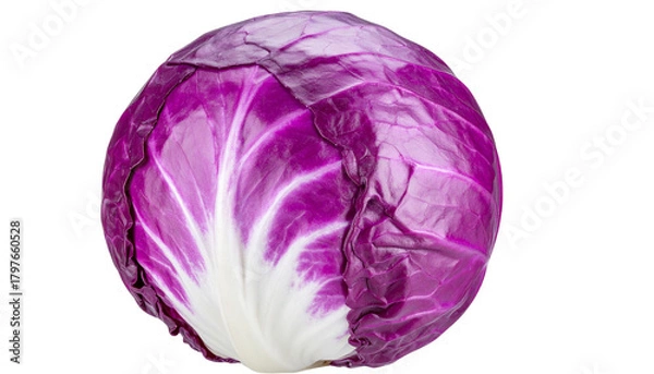 Obraz Whole Red Cabbage with Glossy Purple Surface, Fresh Vegetable Isolated on Transparent Background