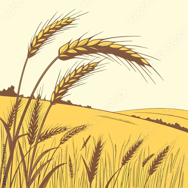 Obraz Golden wheat field under a pale sky with stalks of wheat in the foreground