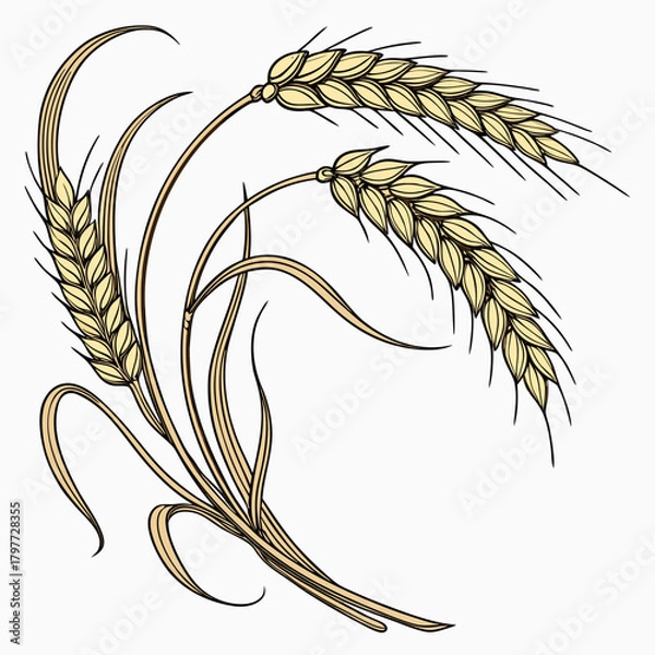 Obraz Stylized illustration of three golden wheat stalks with leaves on a white background