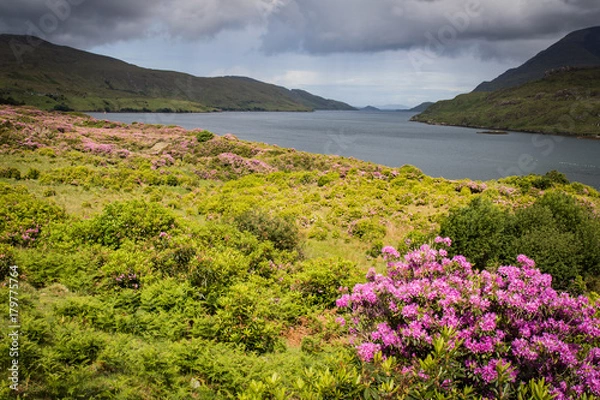 Obraz killary harbour