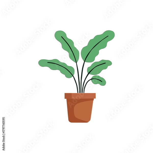 Fototapeta Houseplant in pot, perfect for adding greenery indoors
