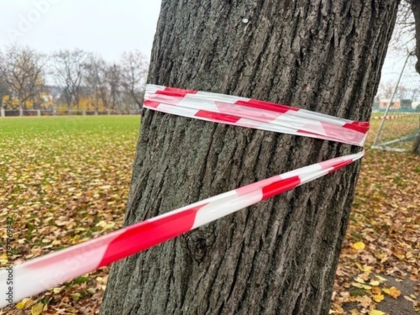 Fototapeta Barrier tape on a tree in a park