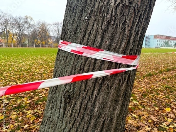 Fototapeta Barrier tape on a tree in a park