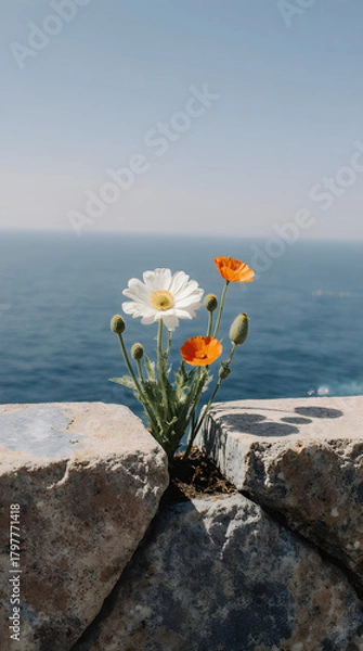 Fototapeta Wildflowers bloom between rocks with the ocean shimmering in the background
