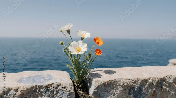 Fototapeta Wildflowers bloom between rocks with the ocean shimmering in the background