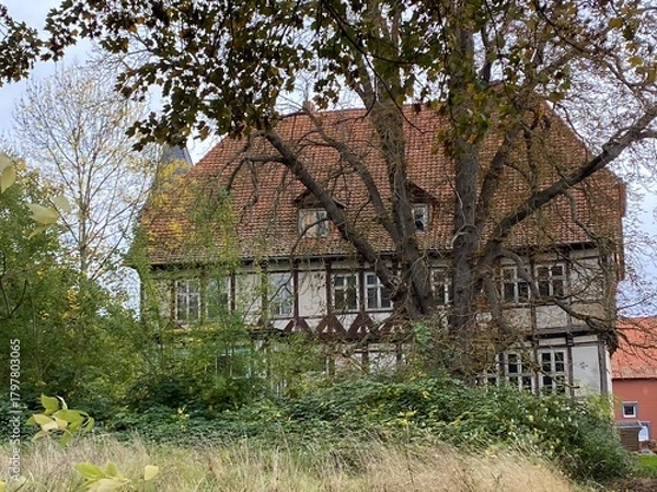 Obraz versteckte Ruinen, lost places