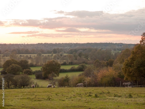 Fototapeta beautiful country scene fields trees horizon sky red autumn sun set Dedham Vale