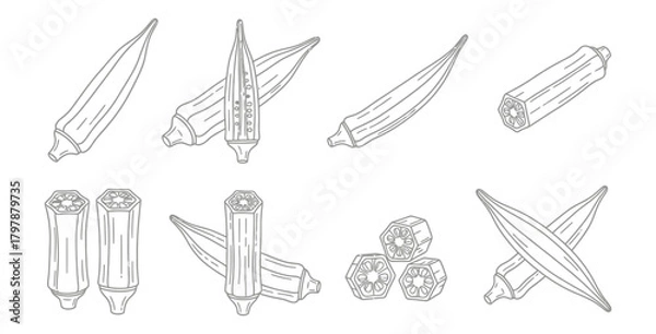 Obraz Okra vegetable line art illustration showing different angles and cross section views