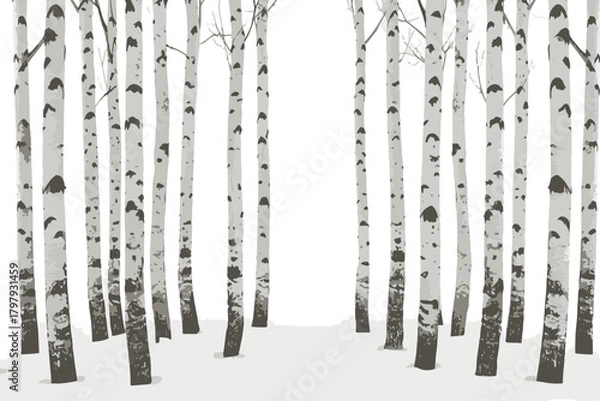 Fototapeta Birch trees texture vector illustration