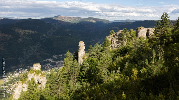 Obraz florac-trois-rivières