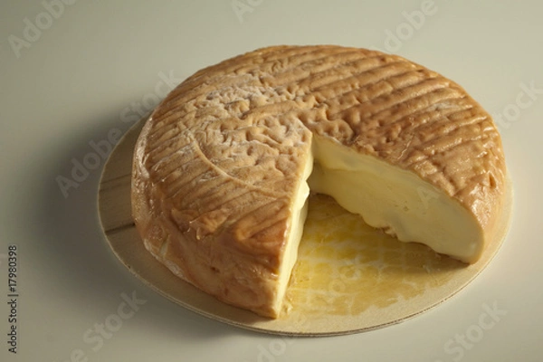 Obraz Epoisse cheese