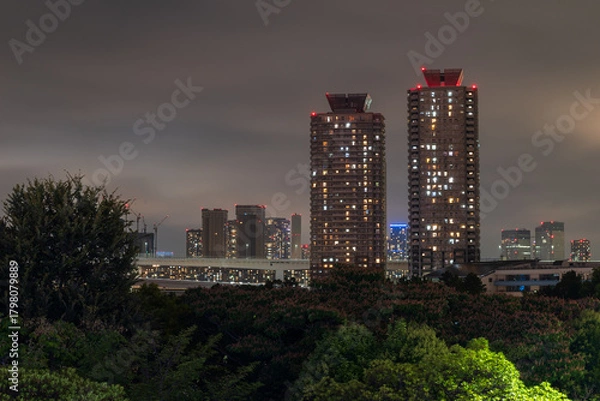 Obraz Panoramic view on the Raibow Bridge and Tokyo City from the artificial Odaiba Island, Tokyo, Japan