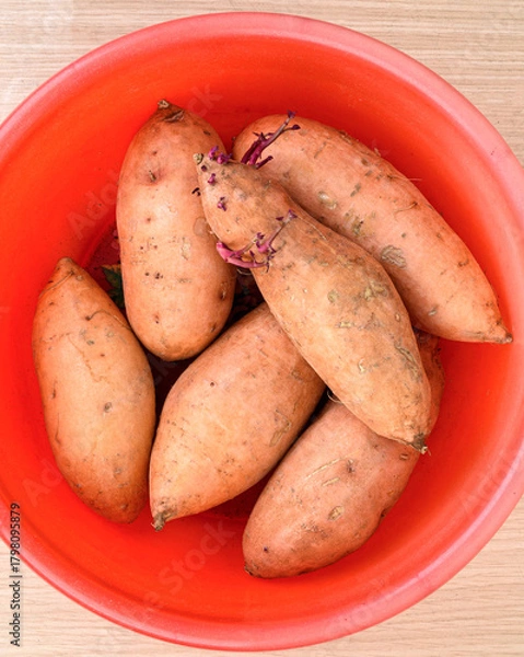 Obraz Top view of sweet potatoes in red plastic basin.