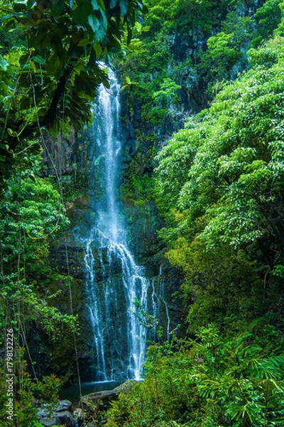 Obraz Waterfall scene on Maui