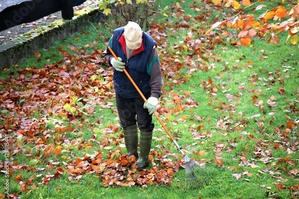 Obraz An Image of a old man doing gardening