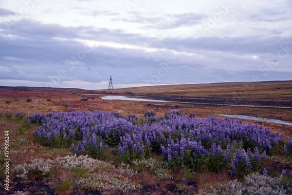 Obraz Beautiful autuum