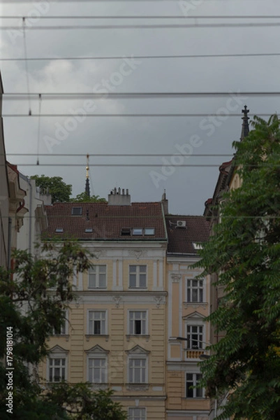 Fototapeta overcast urban rooftops framed by trees, pastel historic facades rise behind tangled utility wires, chimneys