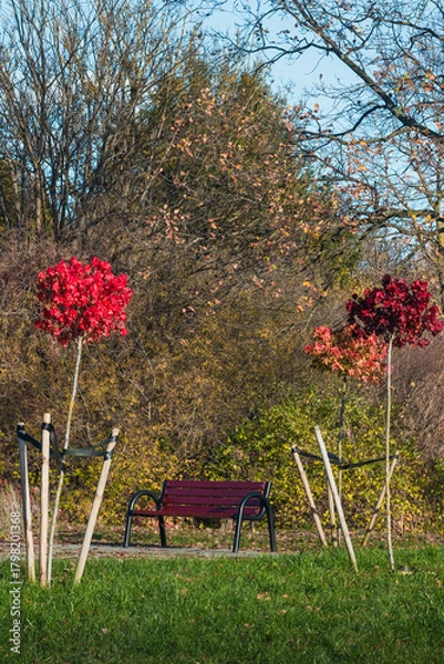 Fototapeta  Autumn Park Bench With Red Trees