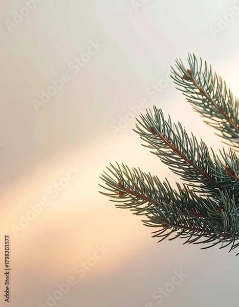 Obraz Evergreen branch with sharp needles against a soft, warm, out-of-focus glow